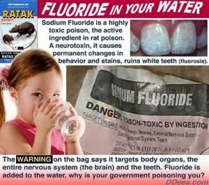 Fluoride Killing Us Softly 300x266 Childrenbrain.jpg