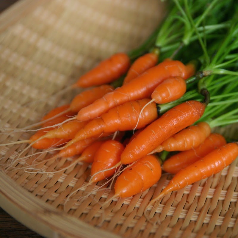 Baby Carrots 2.jpg