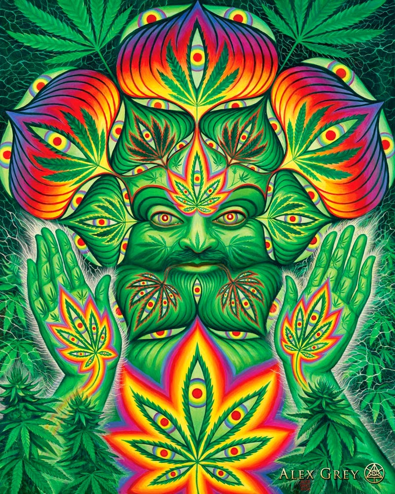 Cannabis The Pineal Gland Turn On The Third Eye.jpg
