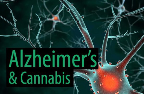 Alzheimers Cannabis.jpg
