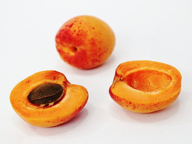 Apricot2bseed.jpg