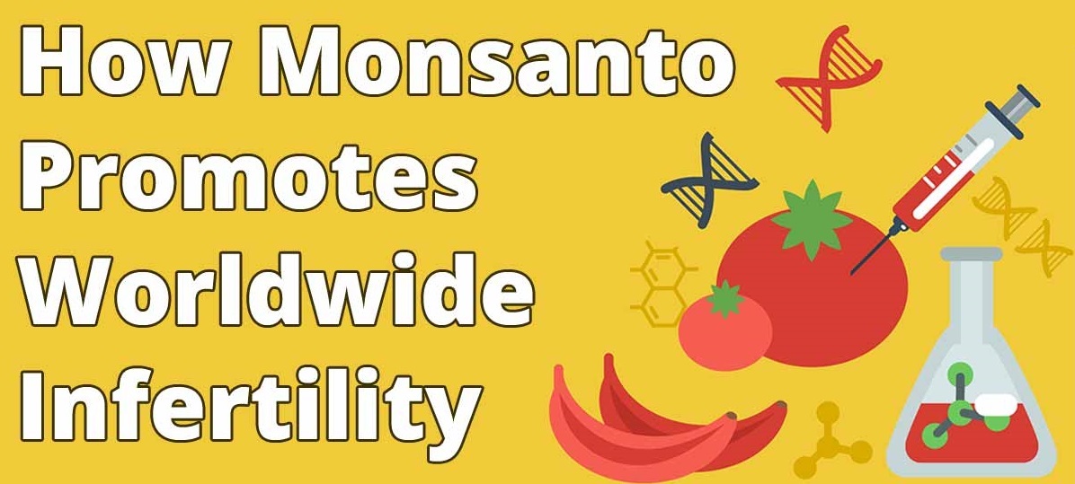 How Monsanto Promotes Infertility Fb.jpg