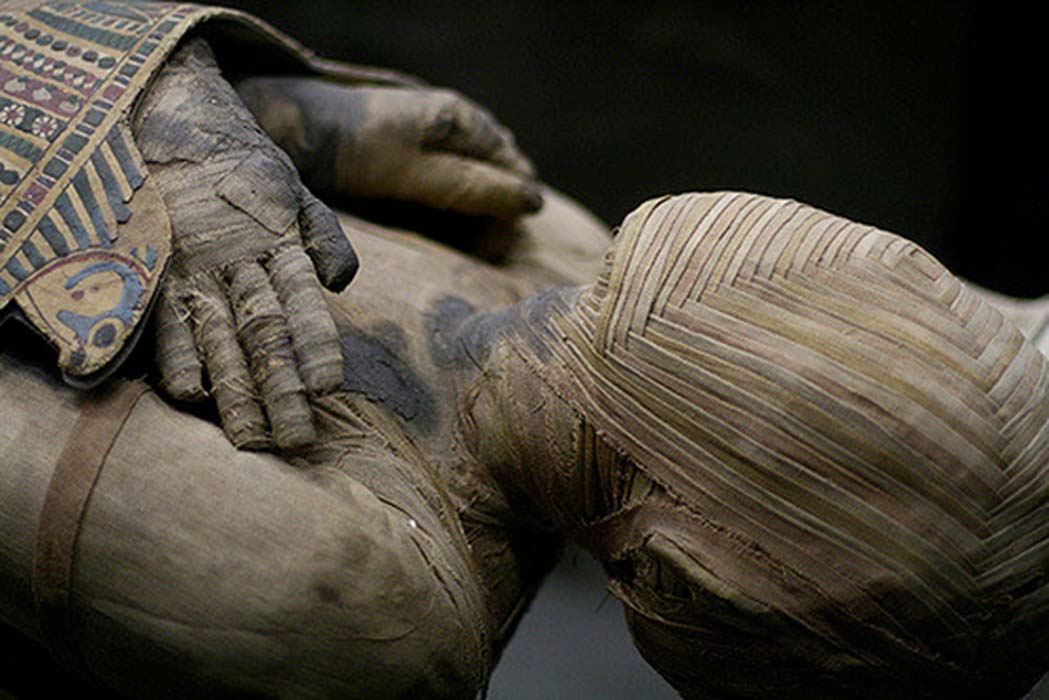 Egyptian Mummification.jpg