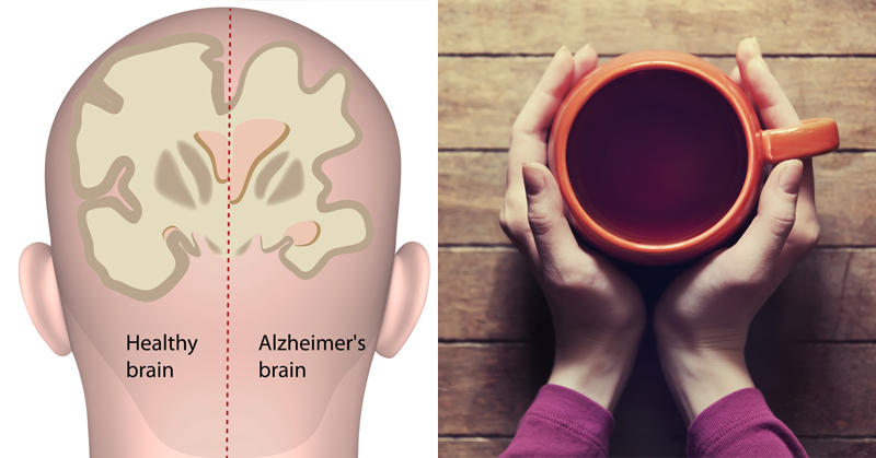 Tea Alzheimer Fi.jpg