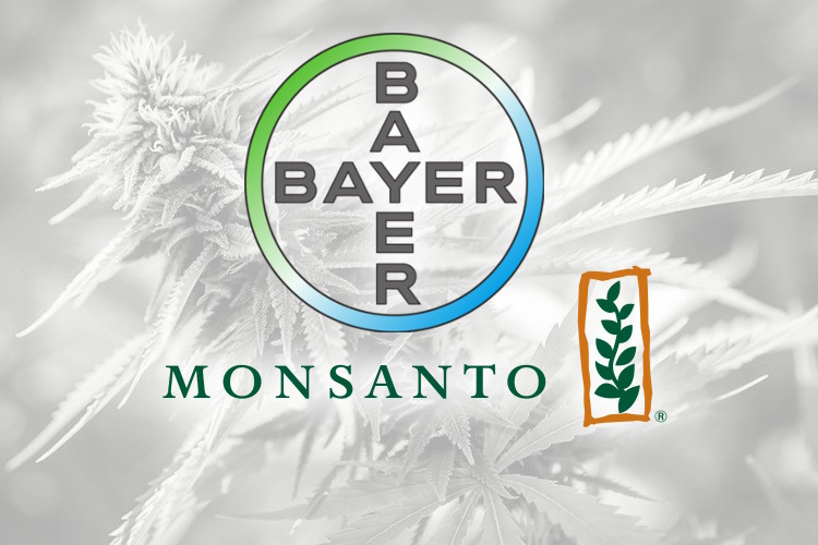 Bayer Monsanto Weed 2.jpg