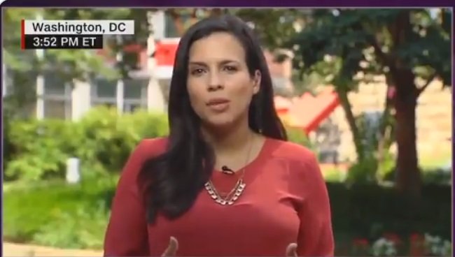 Cnn Refers To Washington And Jefferson As Just ‘two Slave Owners’ While Covering Mt. Rushmore Event