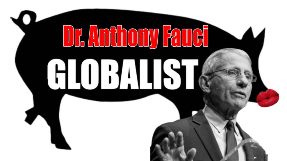 Anthony Fauci Globalist
