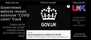 Government Website Reveals Extensive 'covid Cases' Fraud