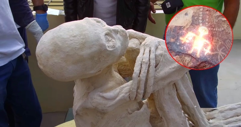 Second Scientist To Analyse Nazca Alien Mummies Says They Are Real