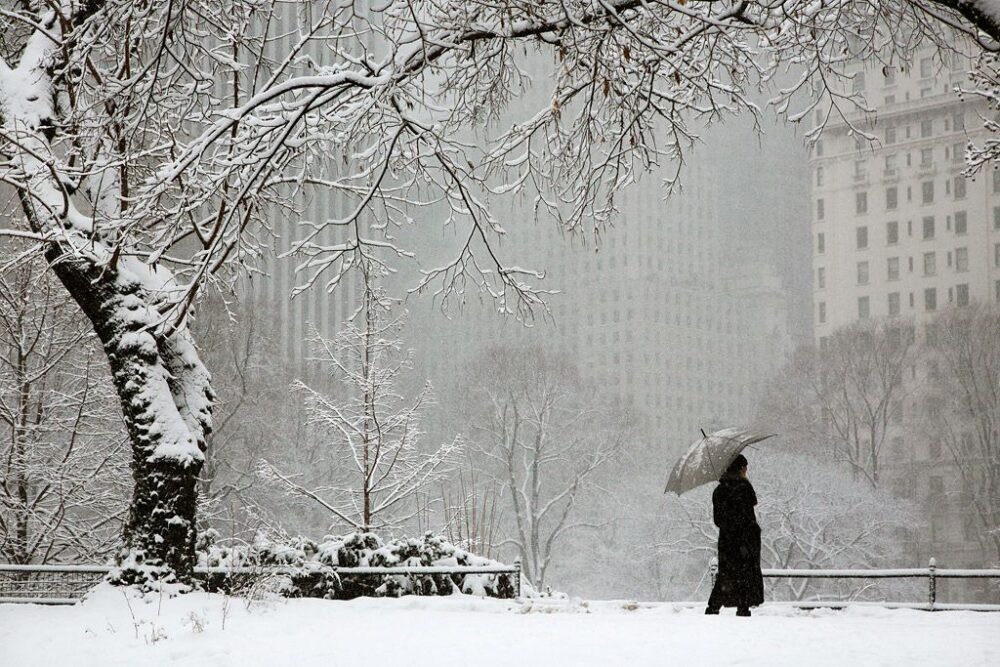 New York Snow, 2020