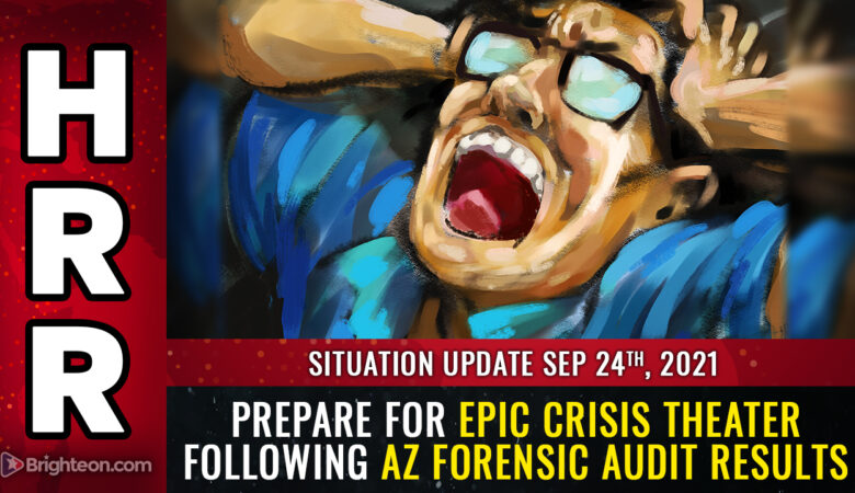 decertify az forensic audit reveals fraud over 5x the margin of 'victory'
