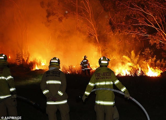 Australia Is Facing A Horror Bush Fire Season This Year Which Could Bring The Same Consequences As The Blazes Tearing Through The Amazon Rainforest.