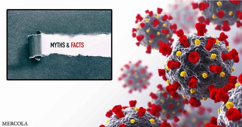 Coronavirus Myths Facts Fb