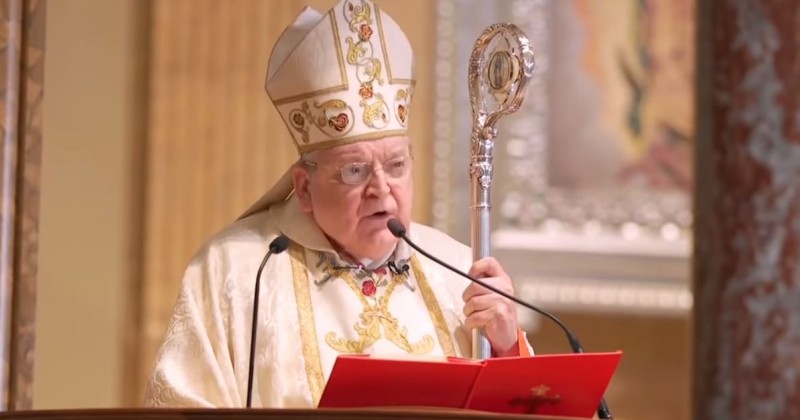 Top Catholic Cardinal Warns Covid 19 Being Used To Usher In 'evil' Great Reset