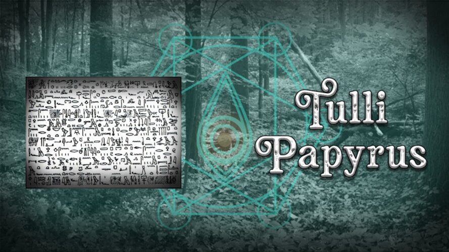 tulli papyrus