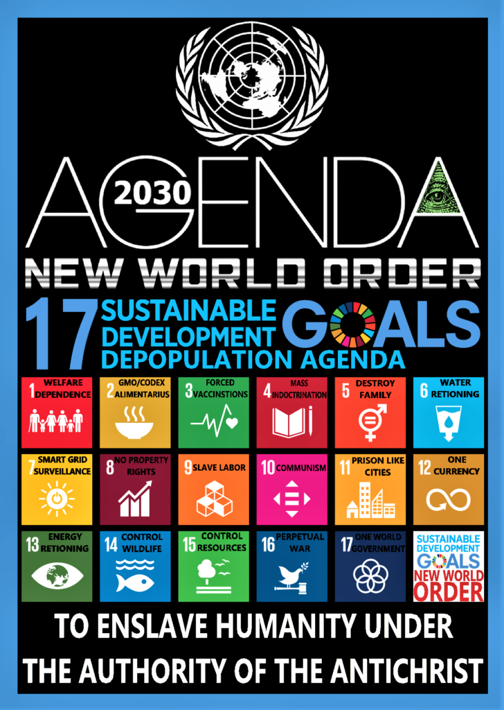 agenda 2030 global reset