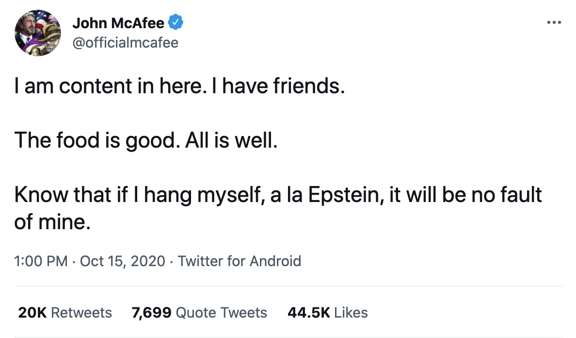 john mcafee tweet suicide epstein