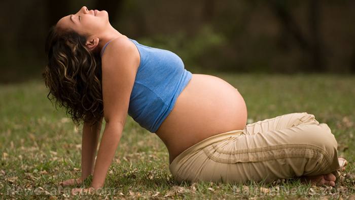 pregnant woman stomach nature happy