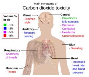 carbon dioxide toxicity 300x260