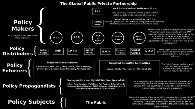 the global public private partnership